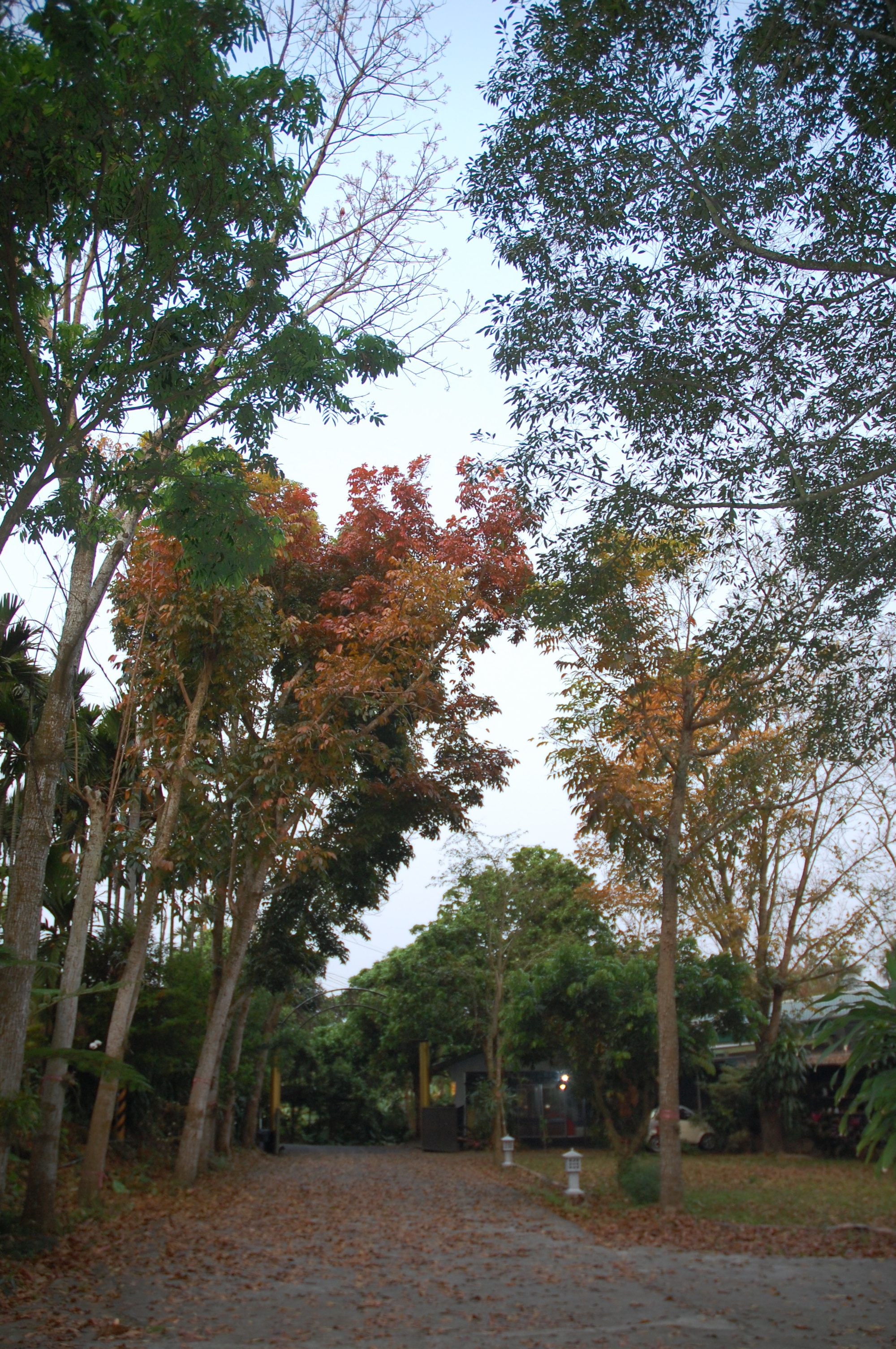 DSC_2240